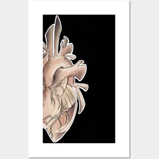 anatomical heart Posters and Art